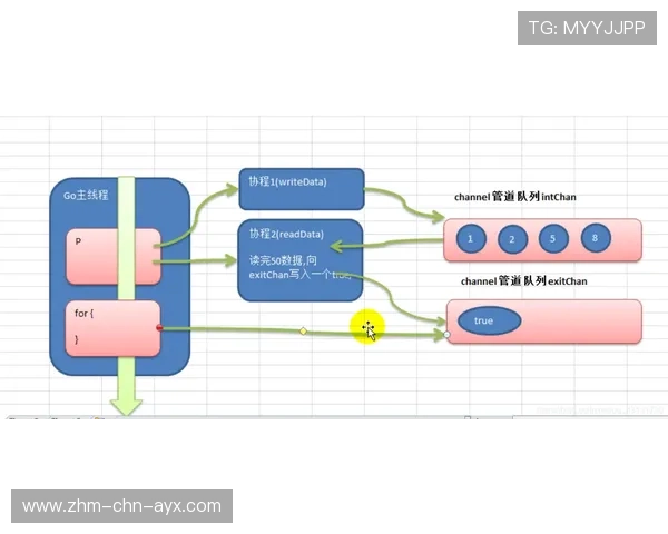 “跑出速度与激情！SHO-CHAN Run 2025吸引全球目光”