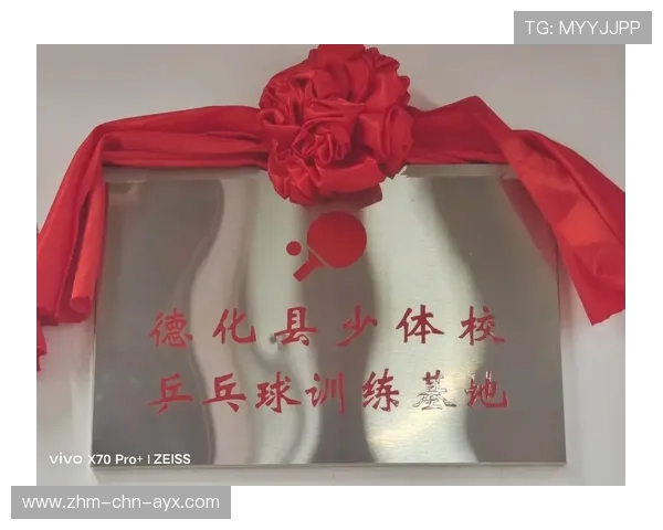 乒乓球俱乐部加强青少年技术成长的阶段性评估，青少年乒乓球培训基地