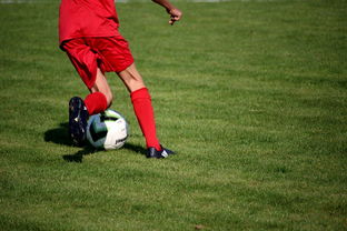 爱游戏体育-意甲裁判语义分析系统在比赛判罚中的应用研究，意甲裁判名单